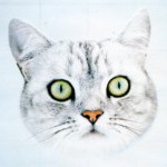 Photo du profil de Sylvia